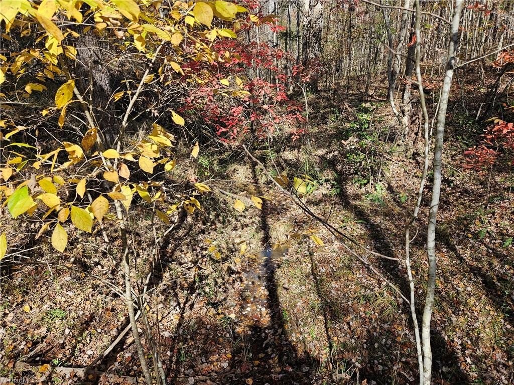 Other - Jackson Road, Westfield, NC