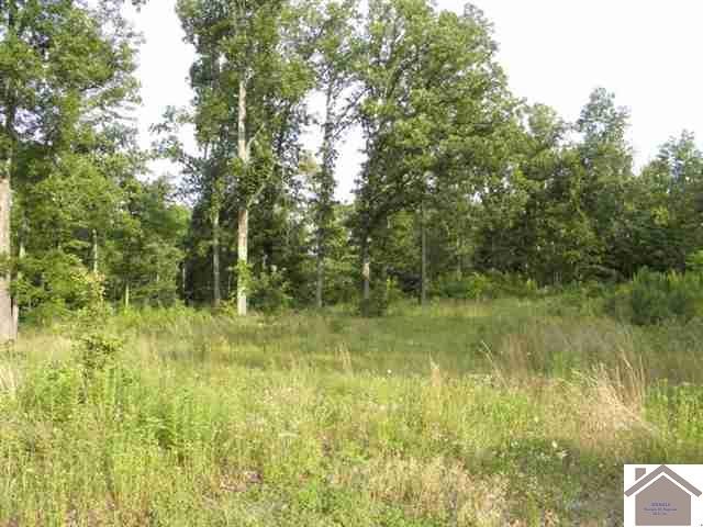 Other - Woodridge Subdivision lot: 33, Benton, KY