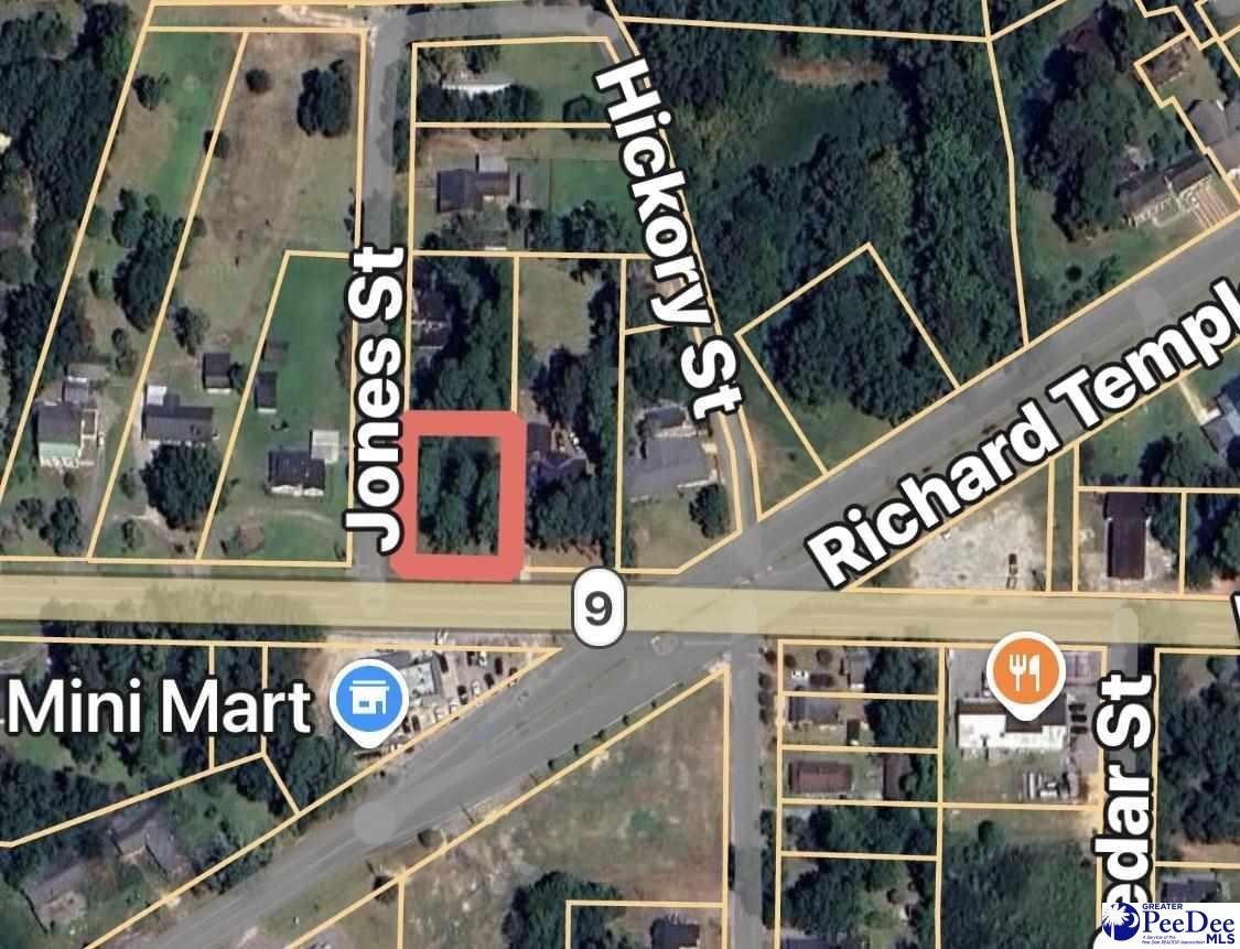 Other - Corner of Highway 9 & Hickory Street, Lake View, SC