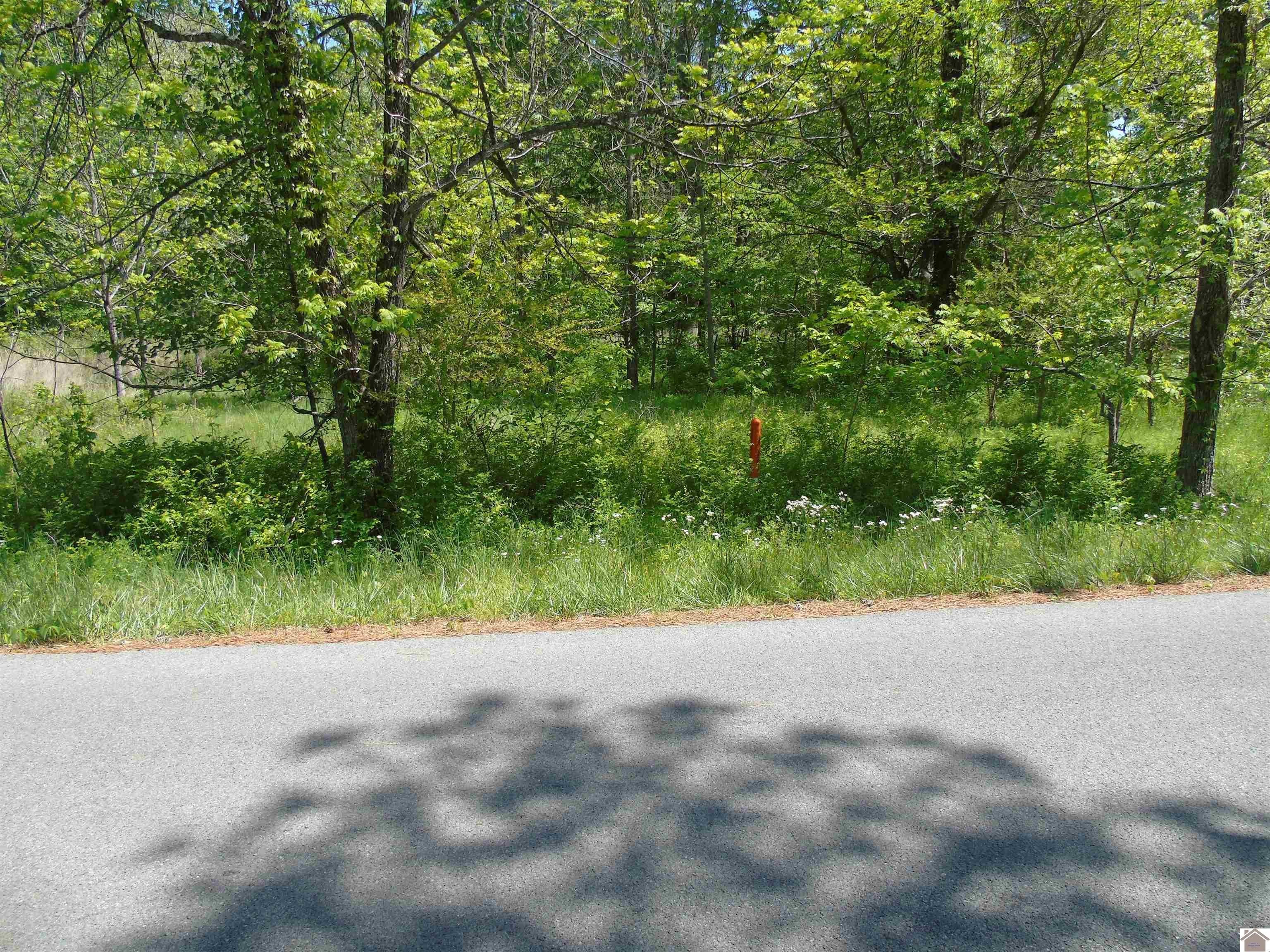 Other - 1000 Trigg Furance Road, Cadiz, KY