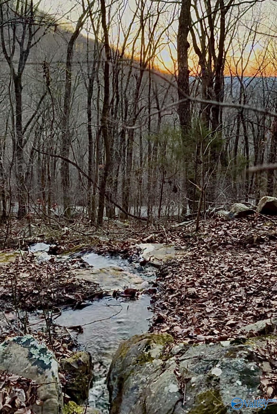 19acres County Rd 604  