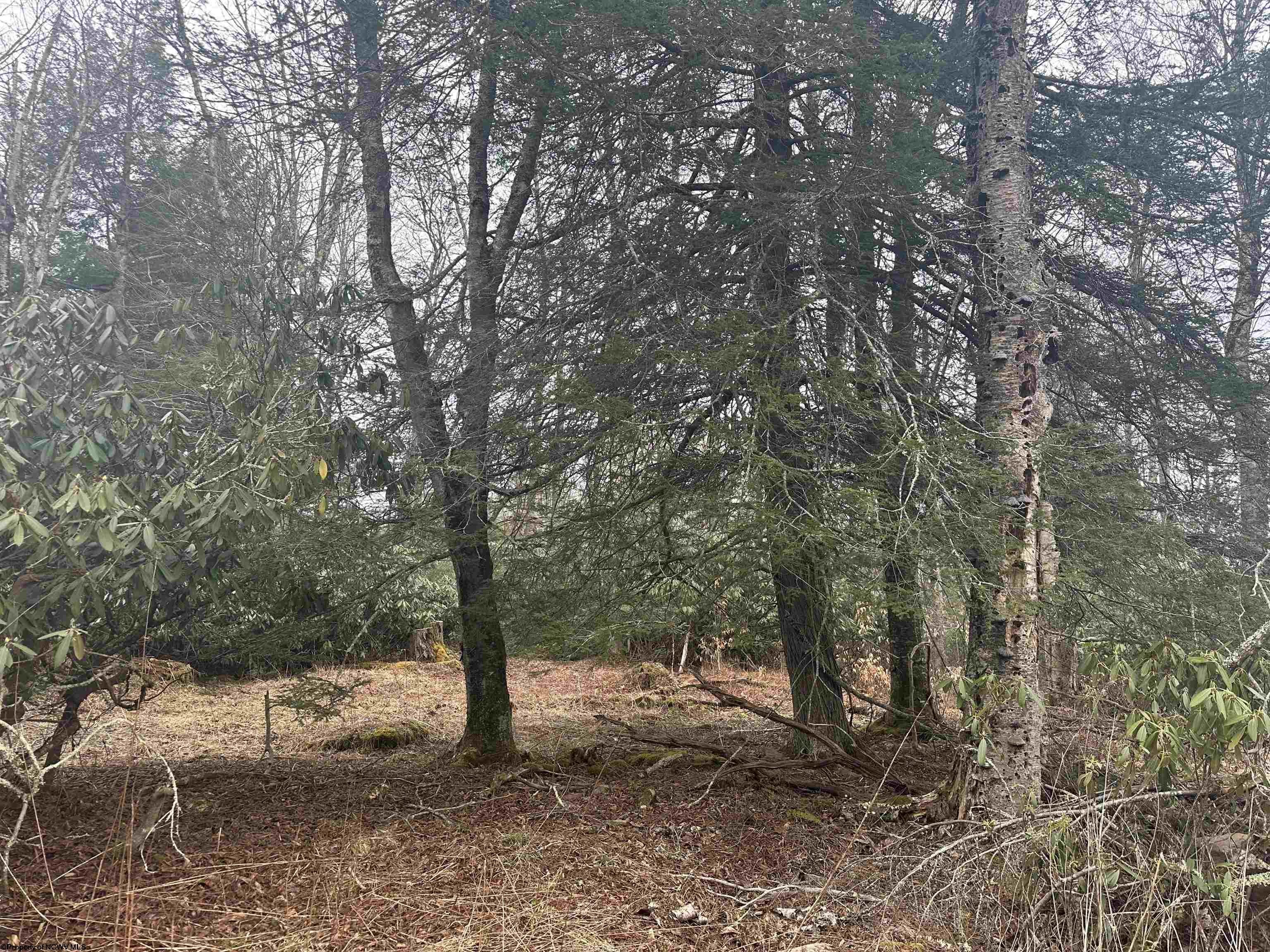 Other - Lot 4 Medici Lane, Davis, WV