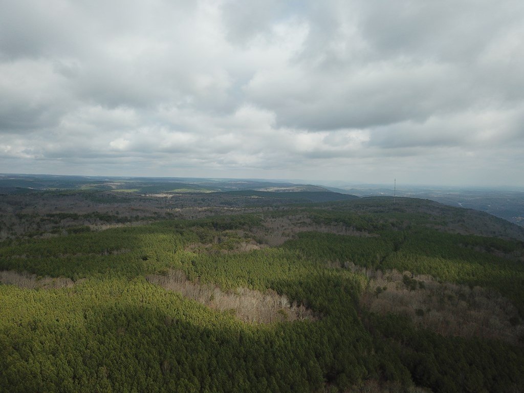 Other - 1532 Hotwater Road, Soddy Daisy, TN