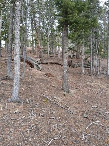 Other - 495 Wakanda Trail, Woodland Park, CO