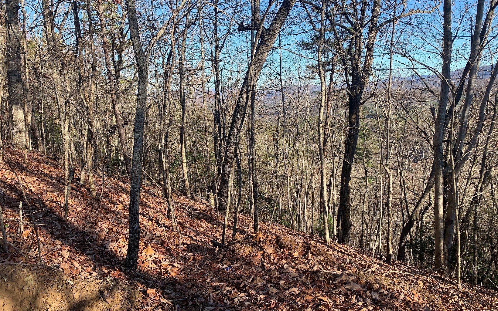 Other - Lot25 Laurel Mountain Drive, Brasstown, NC