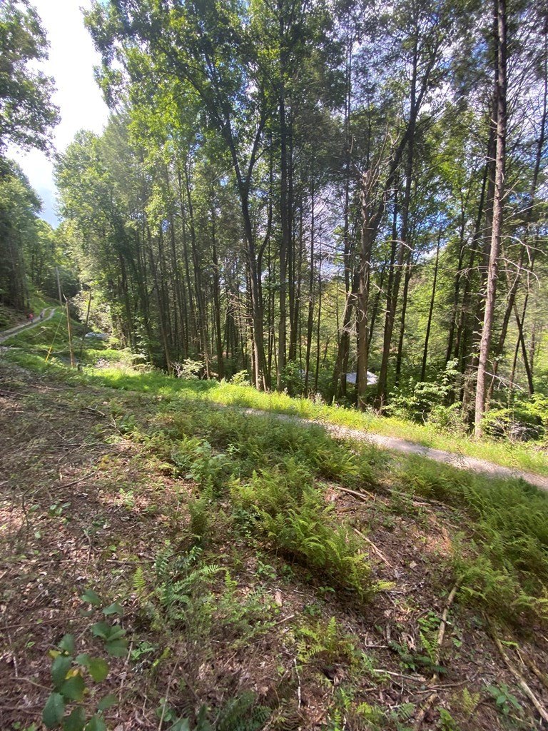 Other - 500 Hemlock Trail, Blue Ridge, GA