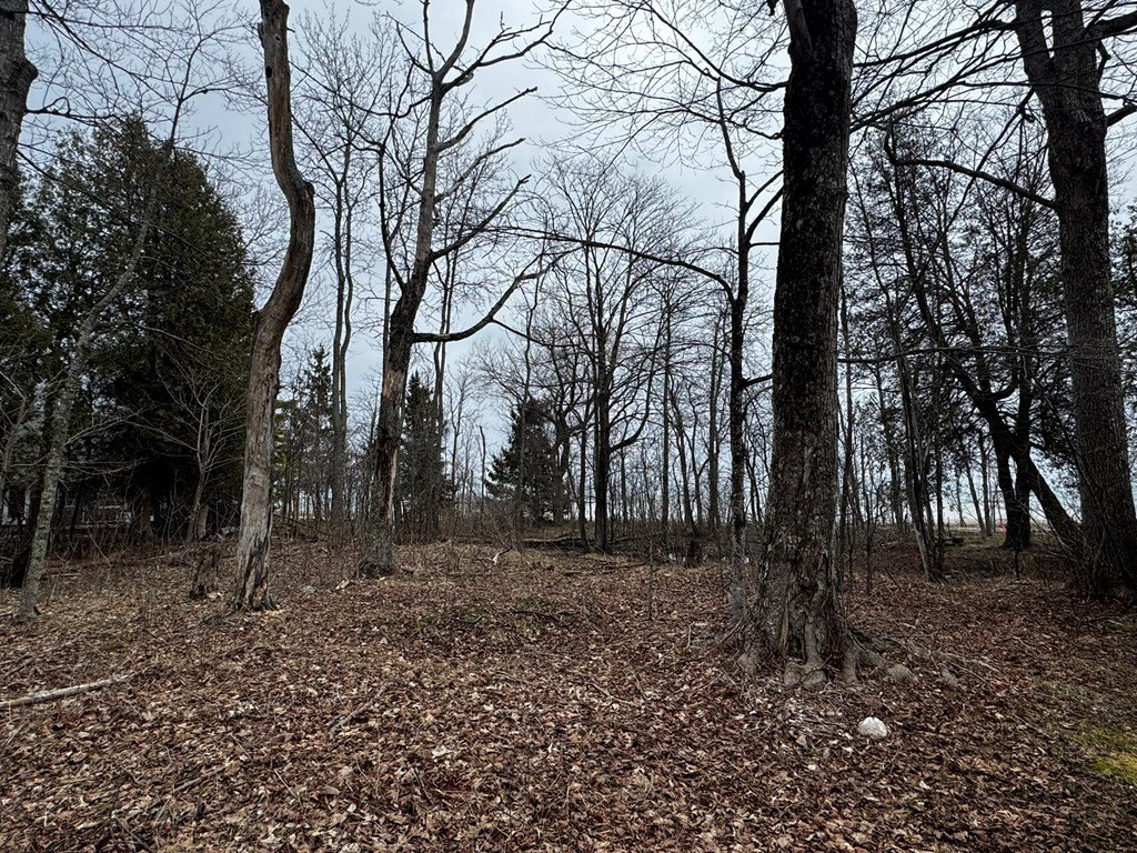 Other - Tbd Wickman Rd, Washington Island, WI