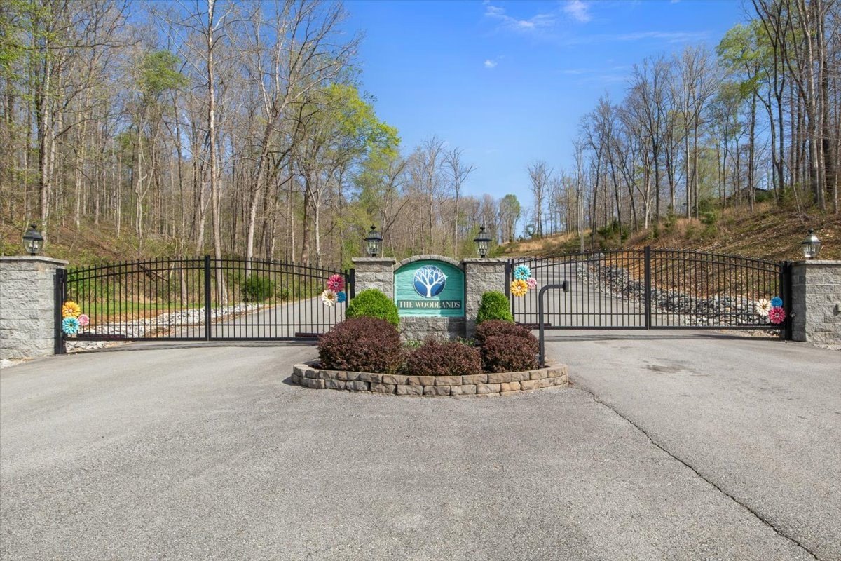 Other - Ridgewood Dr, Mc Ewen, TN