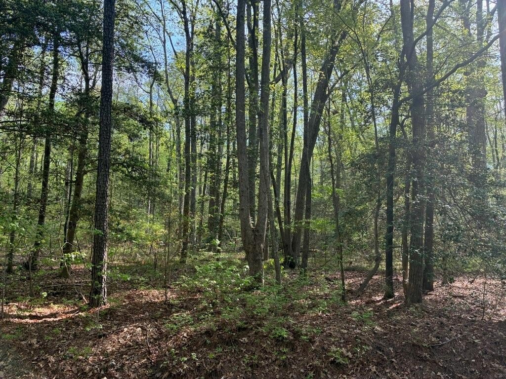 Single Family - Lot 12 Cod Creek Drive, Heathsville, VA