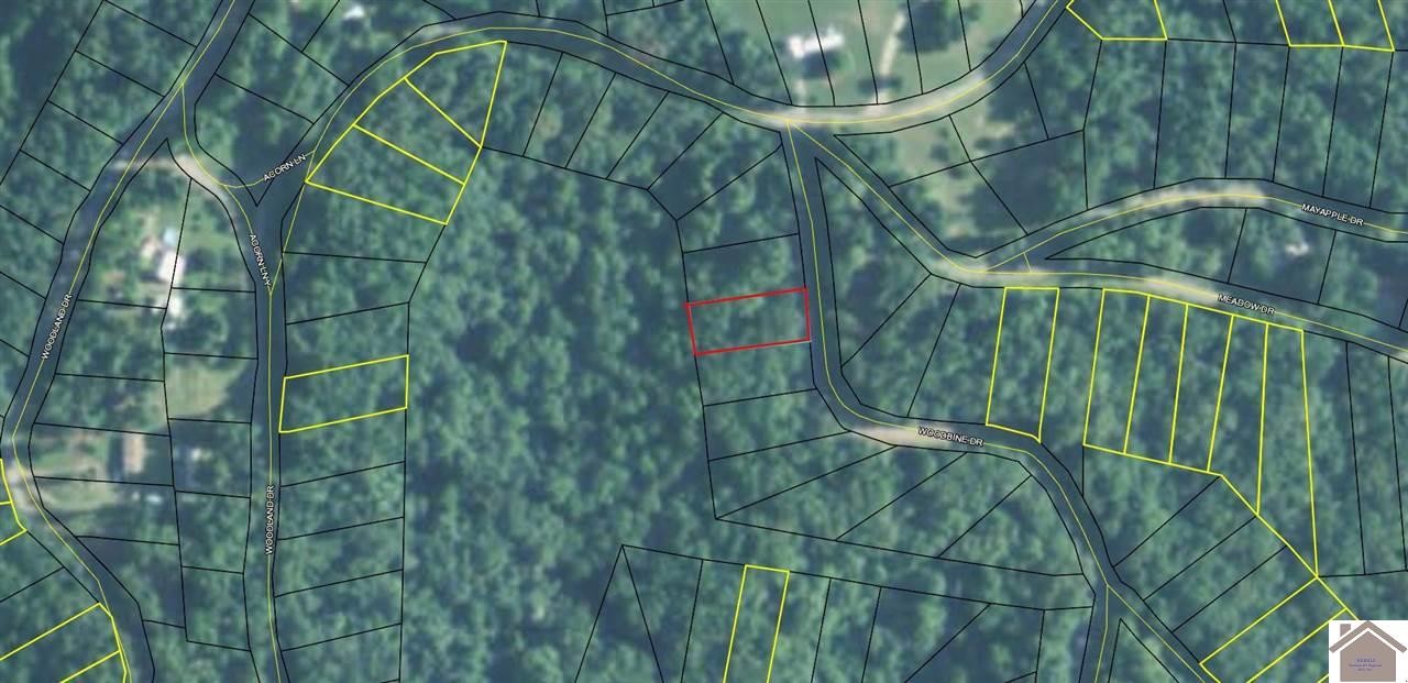 Other - 3M Woodbine Drive, Cadiz, KY