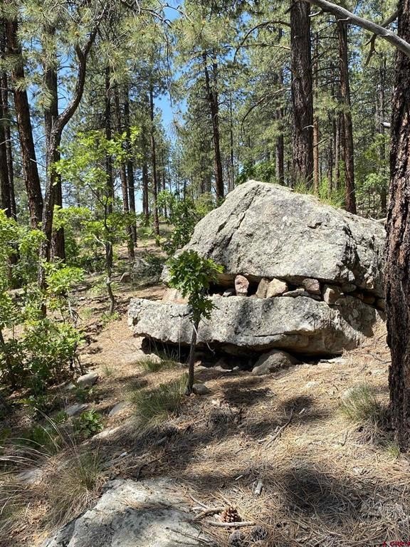 Single Family - 163 BOULDER VIEW Drive, Durango, CO