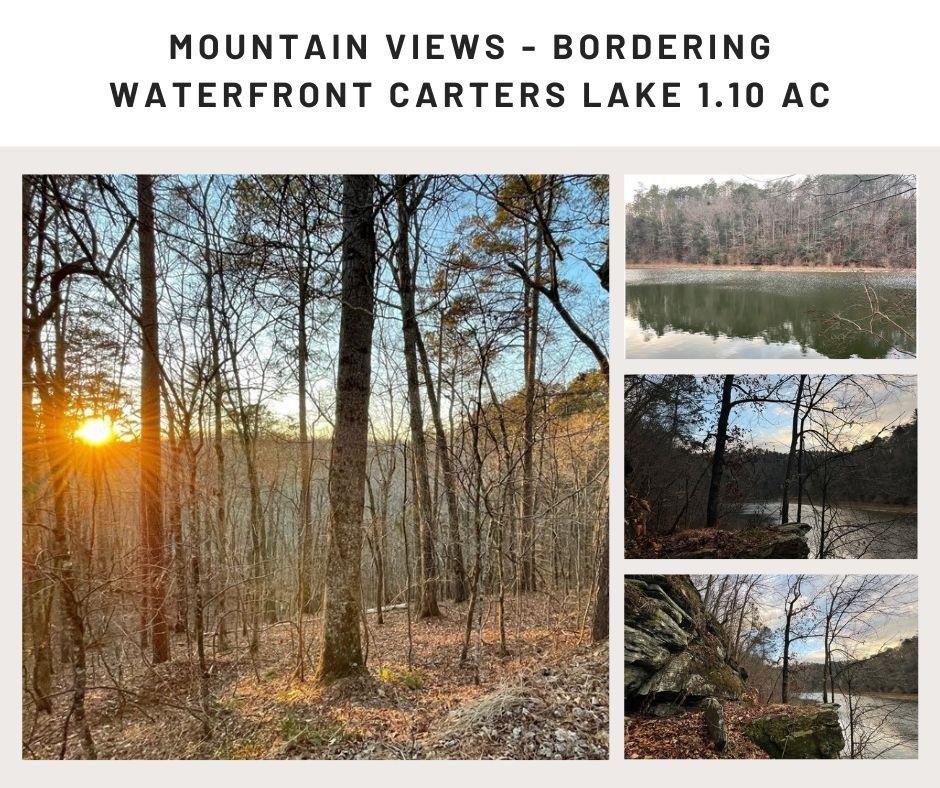 Other - 681,682 Julep Circle, Ellijay, GA