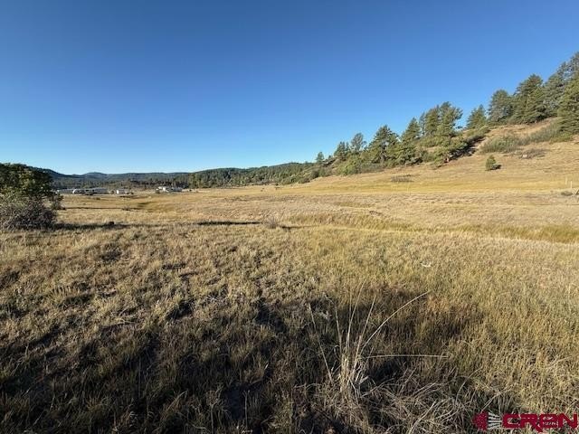 Other - 980 Catchpole Drive, Pagosa Springs, CO