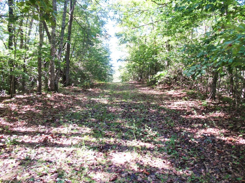 Other - Mountain Circle lot: 32, Franklin, NC
