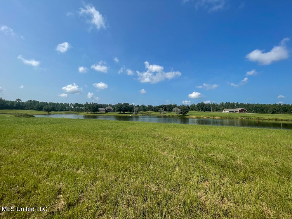 Lot 10 Conner Stringer Dr