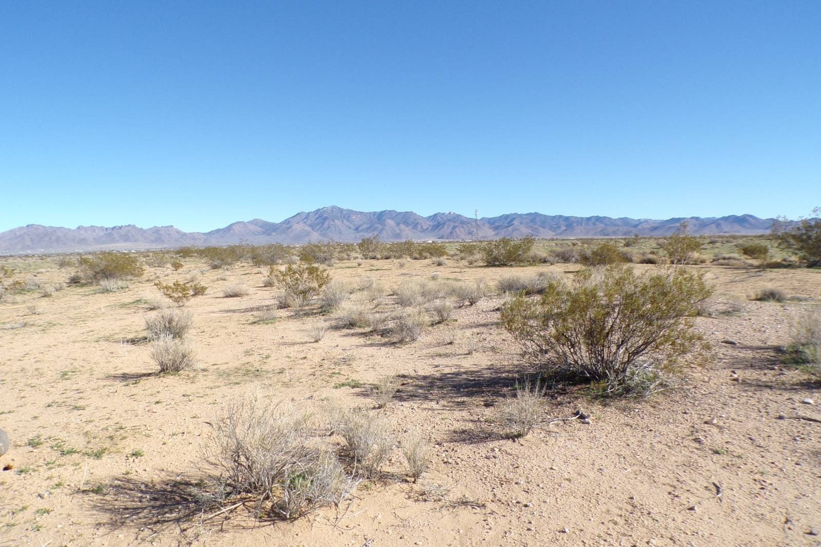 Other - HIGHWAY 93, Dolan Springs, AZ