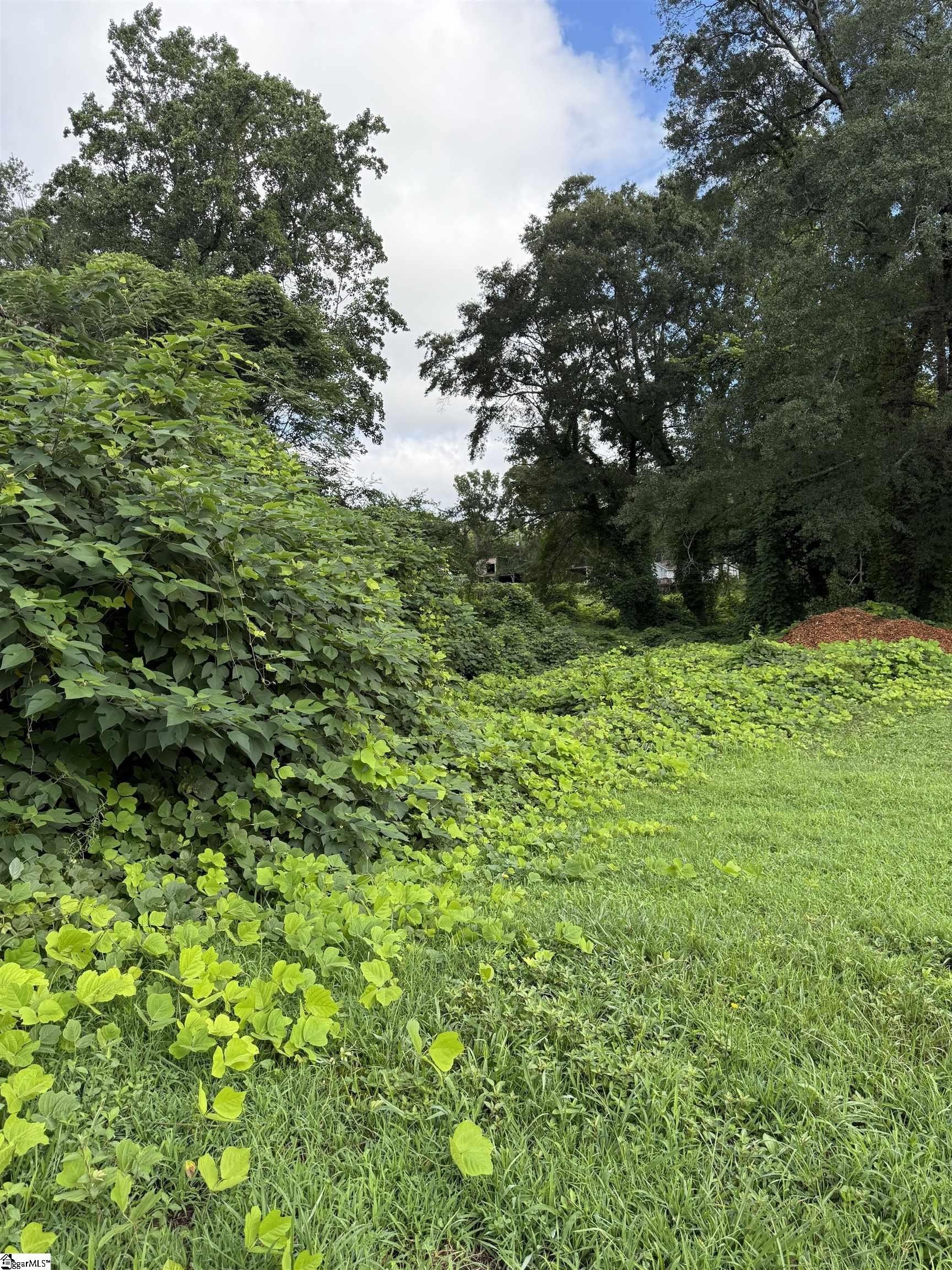 Other - 1650 Farley Avenue, Spartanburg, SC