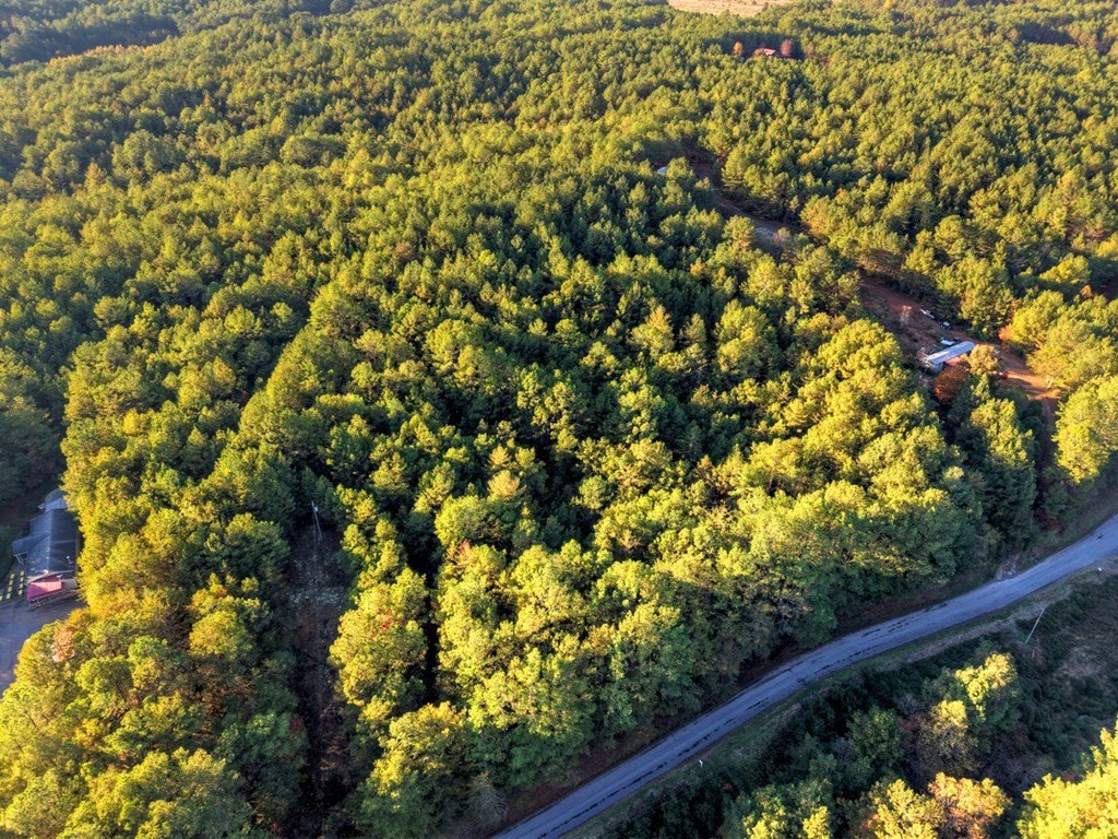 Other - Stansbury Mountain Road, Copperhill, TN