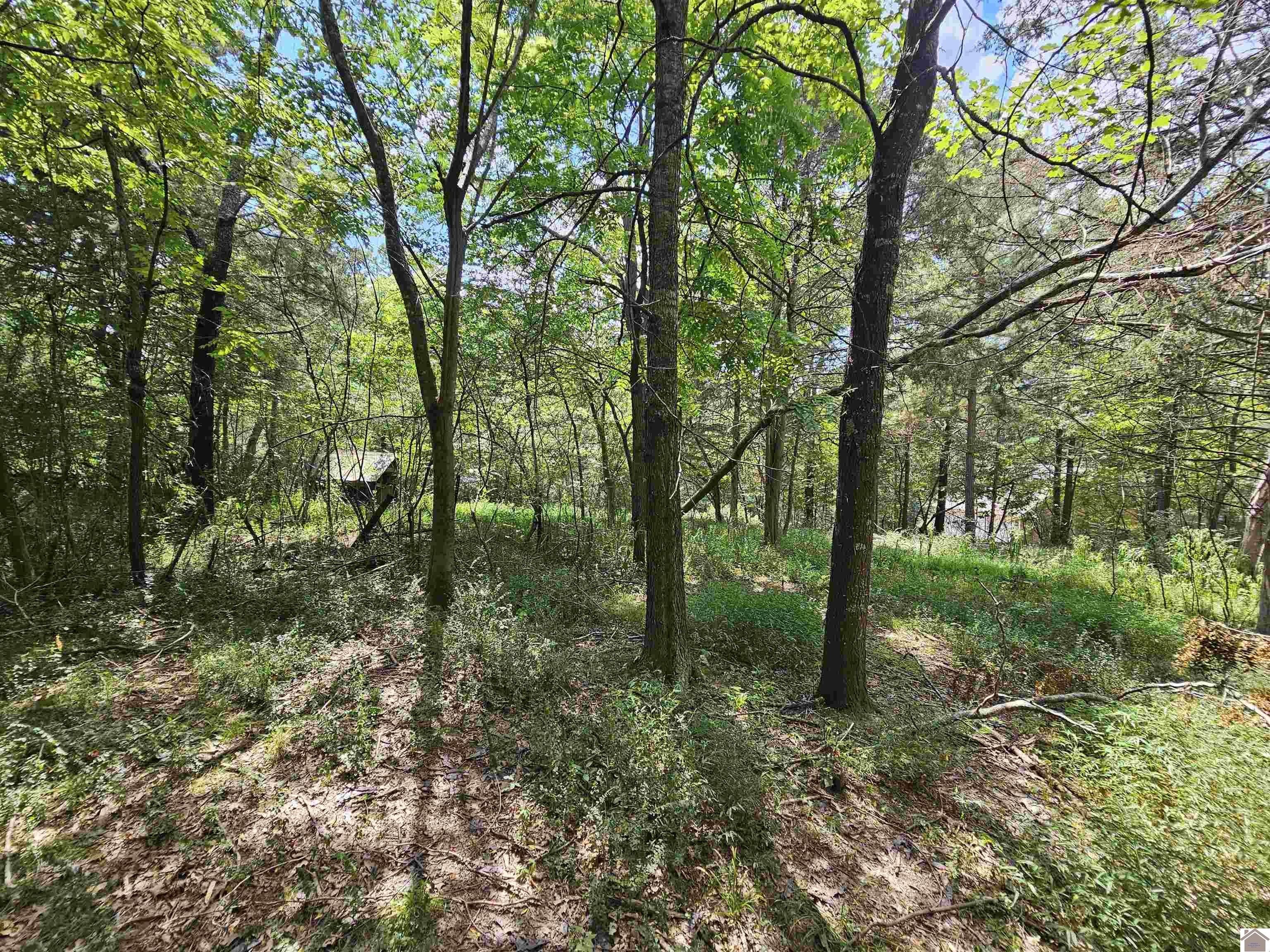 Other - 147 Stewart Dr, Benton, KY