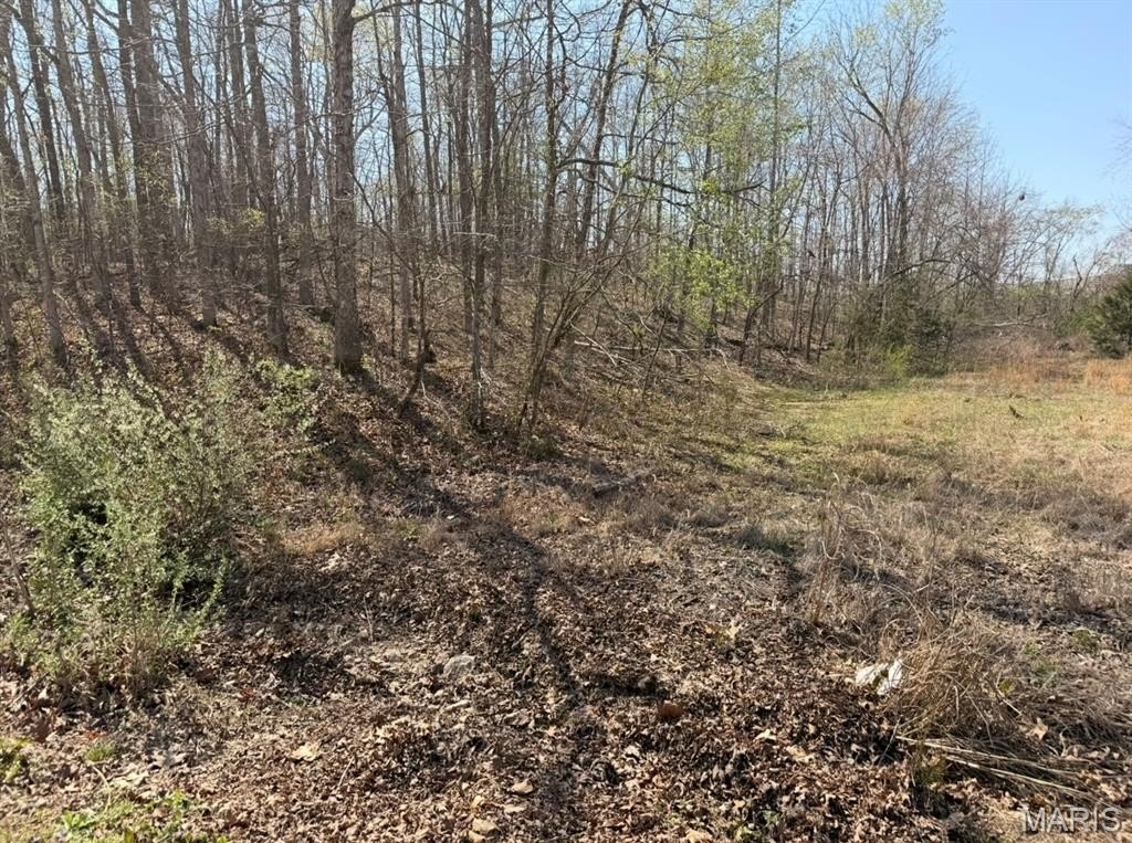 Other - Woodland Hills Road, Poplar Bluff, MO