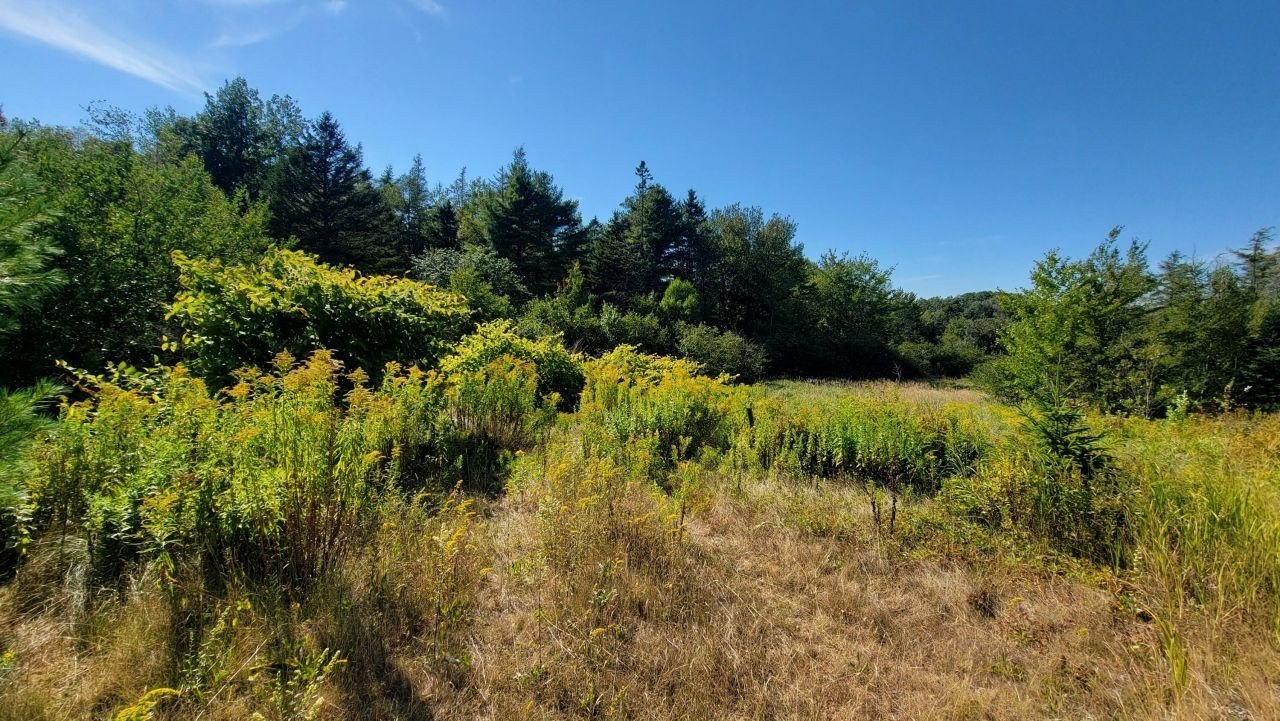 Single Family - Lot 23 Bay Road, Jonesboro, ME