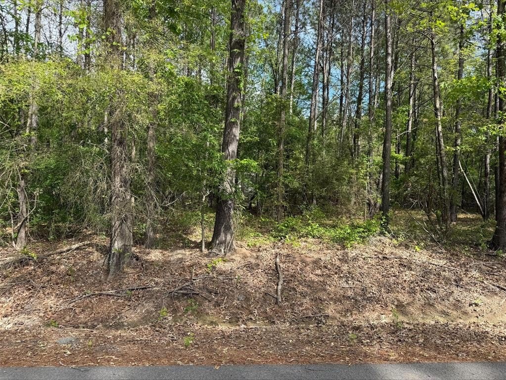 Plots and Land - 0 Sandwood Lane, Keithville, LA