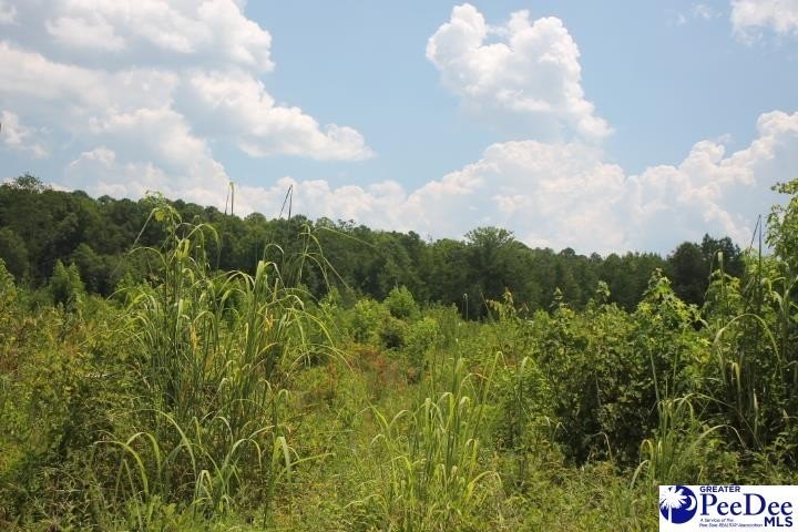 Other - Sweeney Rd, Chesterfield, SC
