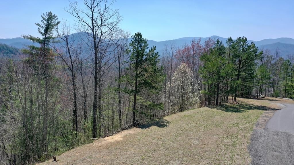 Other - G1 E Hampshire Drive lot: G1, Whittier, NC