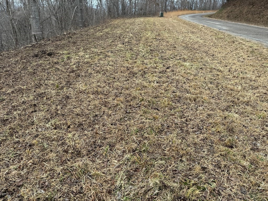 Other - Lot 10 Chatuge Manor Drive, Young Harris, GA