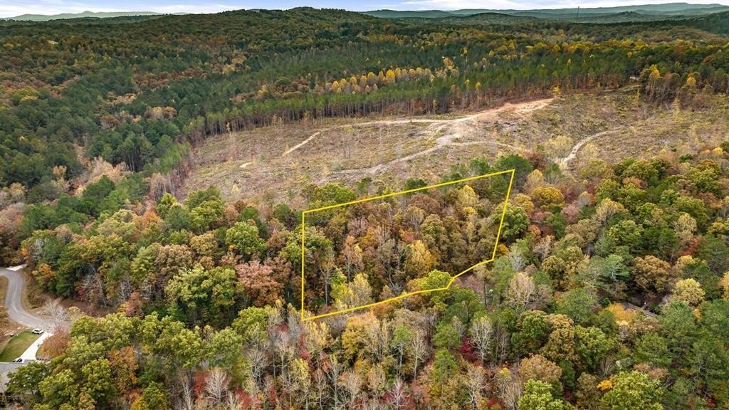 Other - Lot 48 Lower Creek Trail, Ellijay, GA