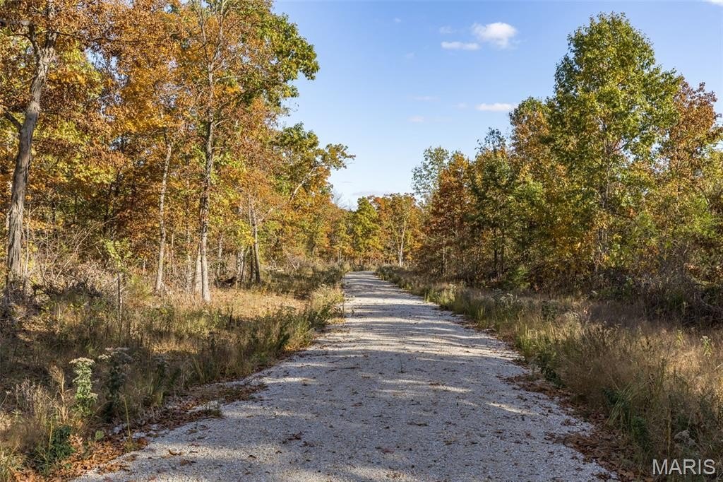 Other - Lot 8 Thunder Ridge Road, Richwoods, MO