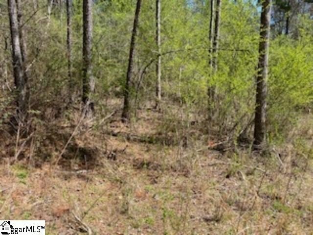 Other - Eleanore Drive, West Union, SC