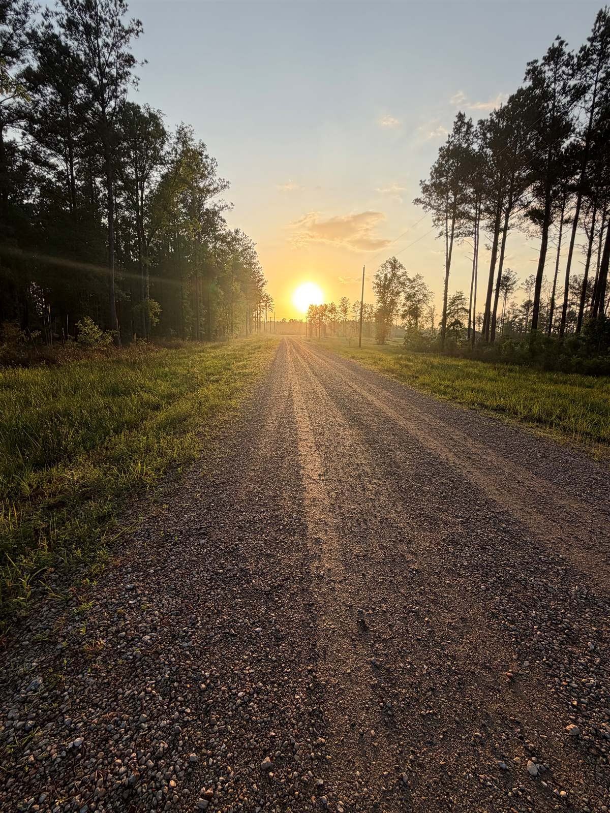 Other - 21154, livingston, LA