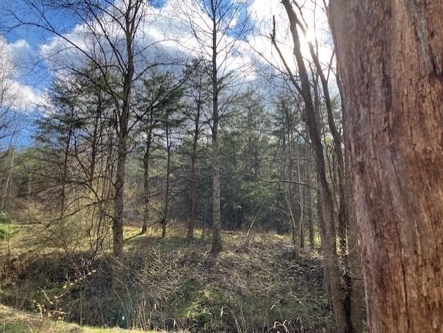 Other - 1402 Pierce Rd, Leon, WV