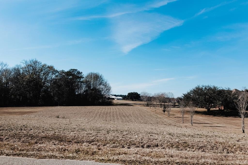 Single Family - 109 Shore Crest Cir, Carriere, MS