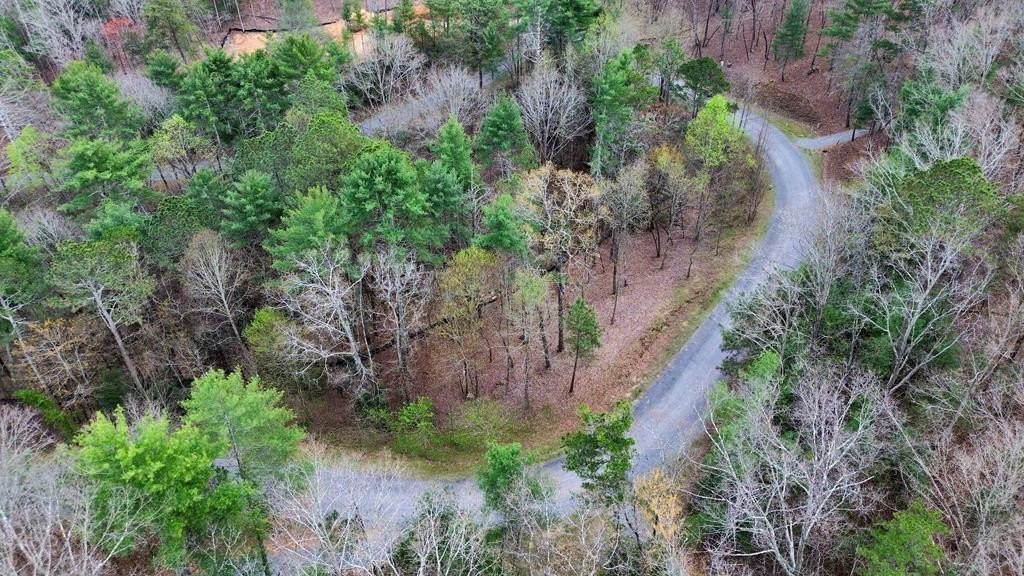 Other - Lot 108 Red Oak Trail, Ellijay, GA
