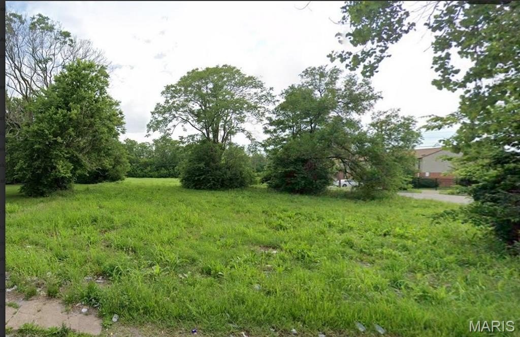 Other - 1027 Bond Avenue, East St Louis, IL