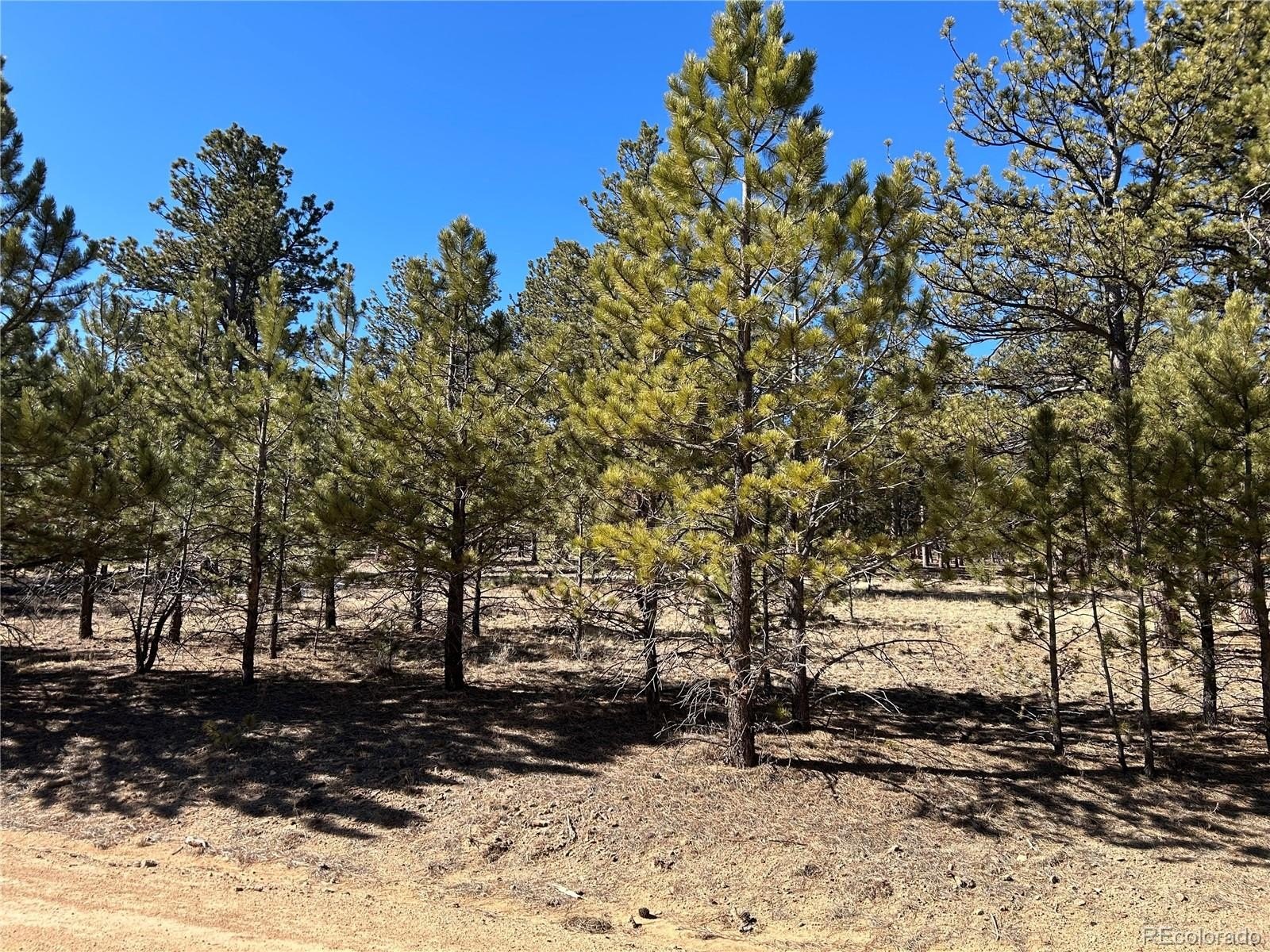 Plots and Land - 147 Haystack Road, Hartsel, CO