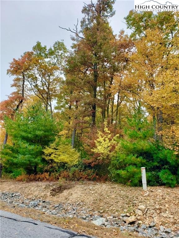 Other - Sunset Ridge Drive lot: 11 & 12, Boone, NC