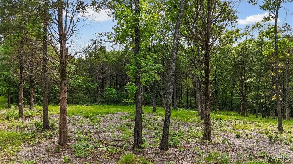Other - 299 Whitetail Ridge, Dittmer, MO