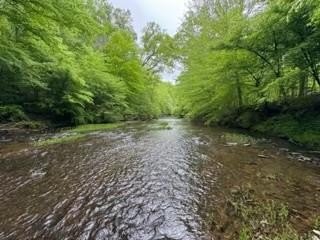 Other - Hollywood Road, Appomattox, VA
