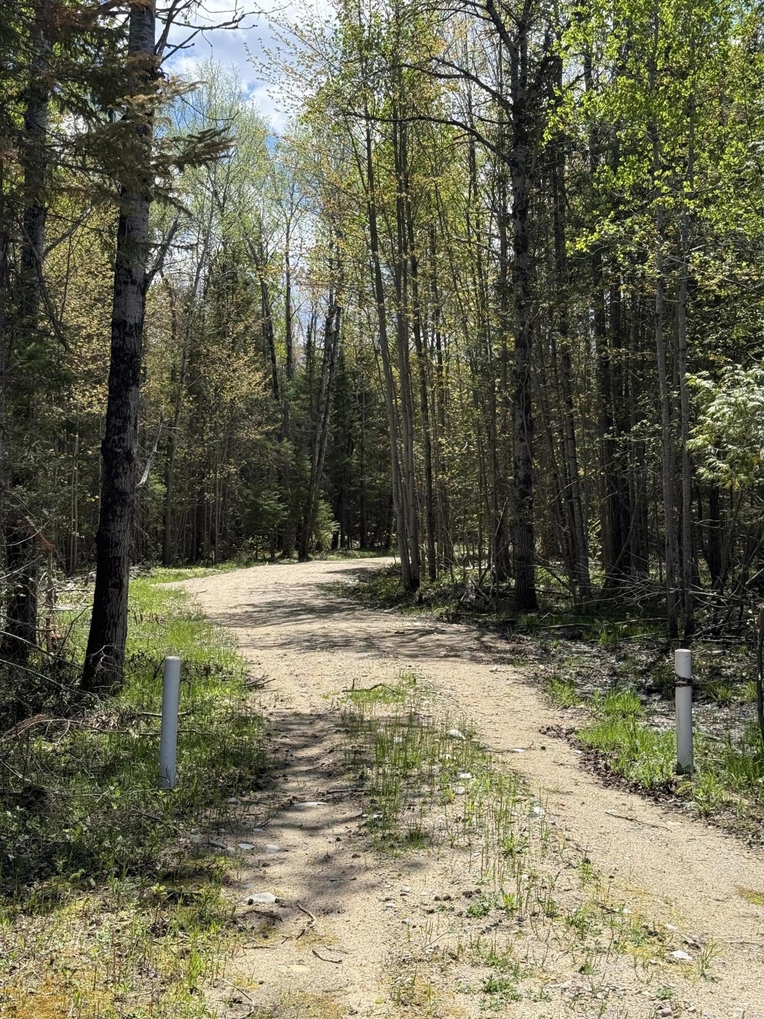 Other - 25 Acres M-28, Newberry, MI