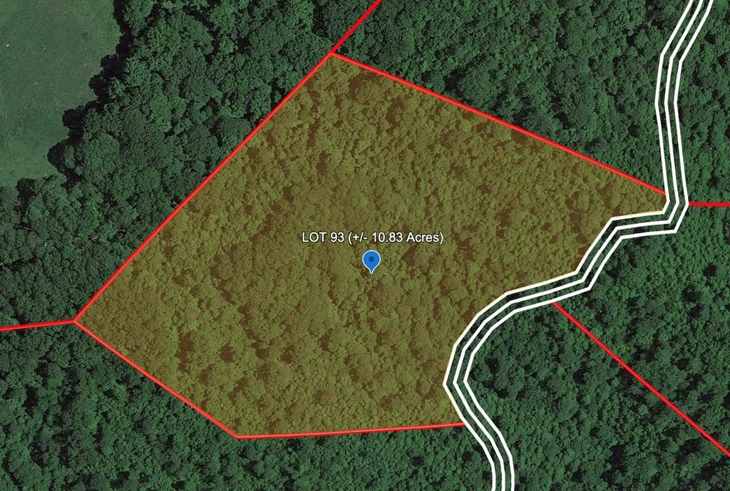 Other - 215 EAGLE'S NEST RIDGE, BRAGG, WV