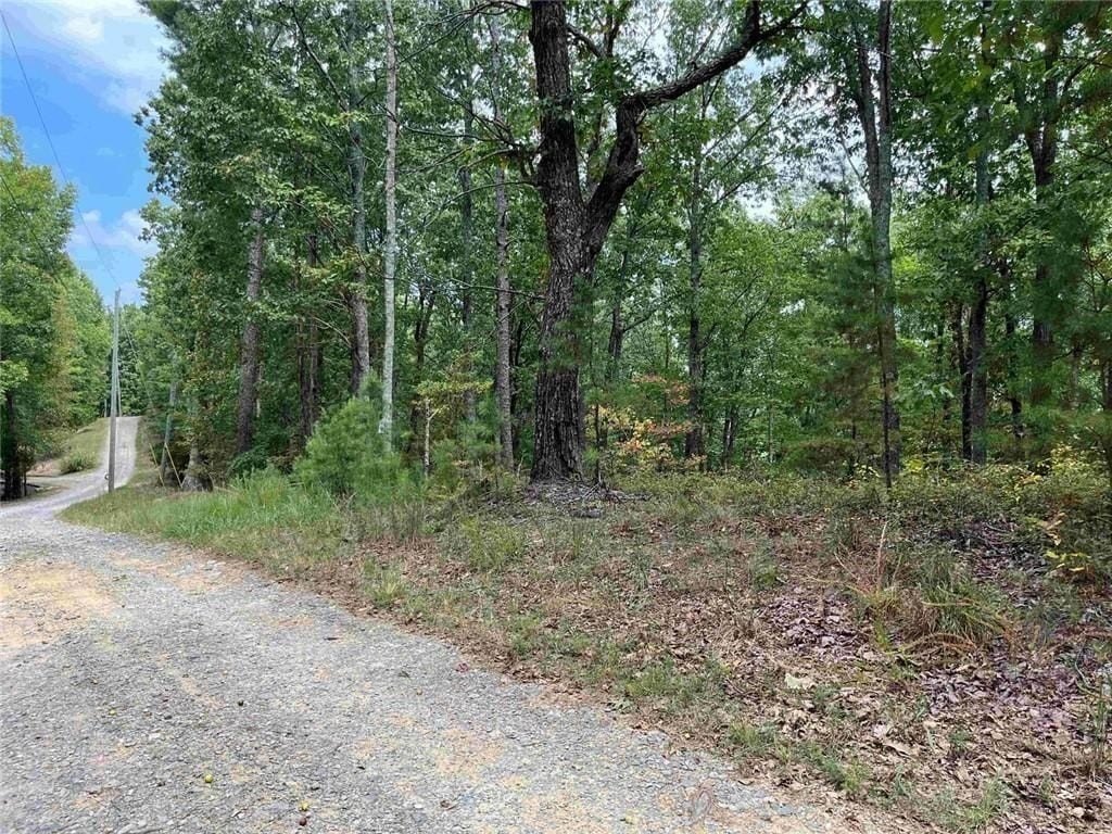 Other - 32 Antler Court, Ranger, GA