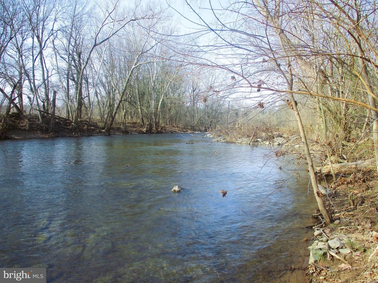 Plots and Land - 143 MONTVUE AVE, MOUNT JACKSON, VA