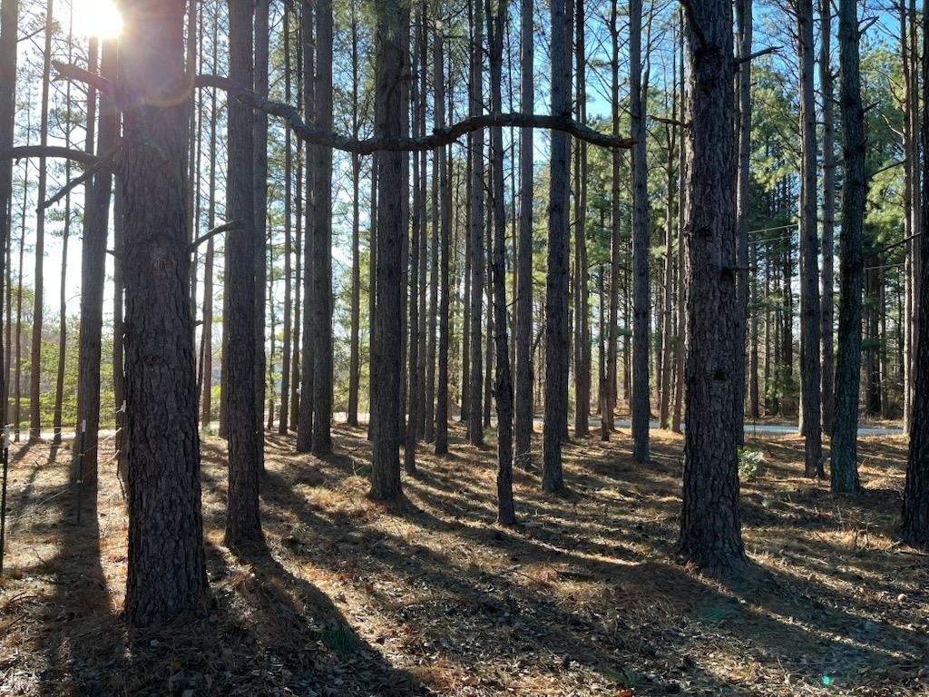 Other - 2075 Mount Lebanon Road, Campobello, SC