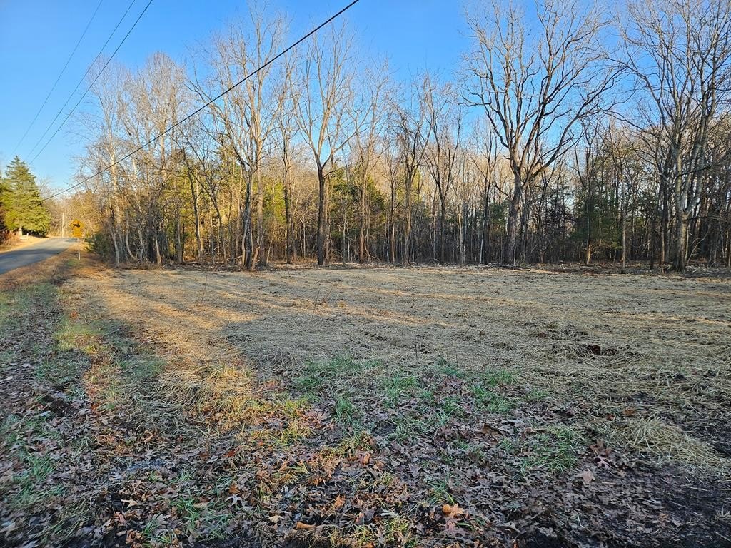 Other - Physic Spring, Dillwyn, VA