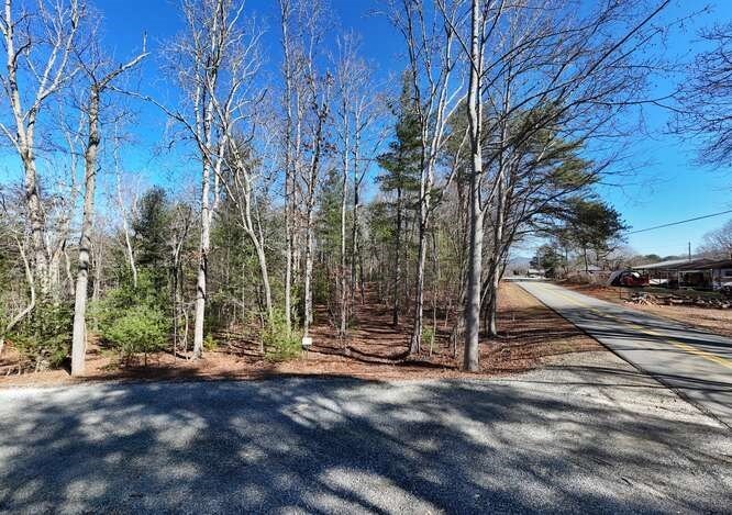 Other - Tract 3 Mauney Circle, Blairsville, GA