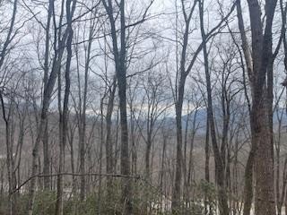 Other - Murphy Rd, Franklin, NC