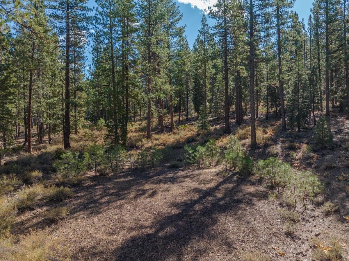 Other - 10719 Regency Circle, Truckee, CA